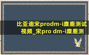 比亚迪宋prodm-i麋鹿测试视频_宋pro dm-i麋鹿测试